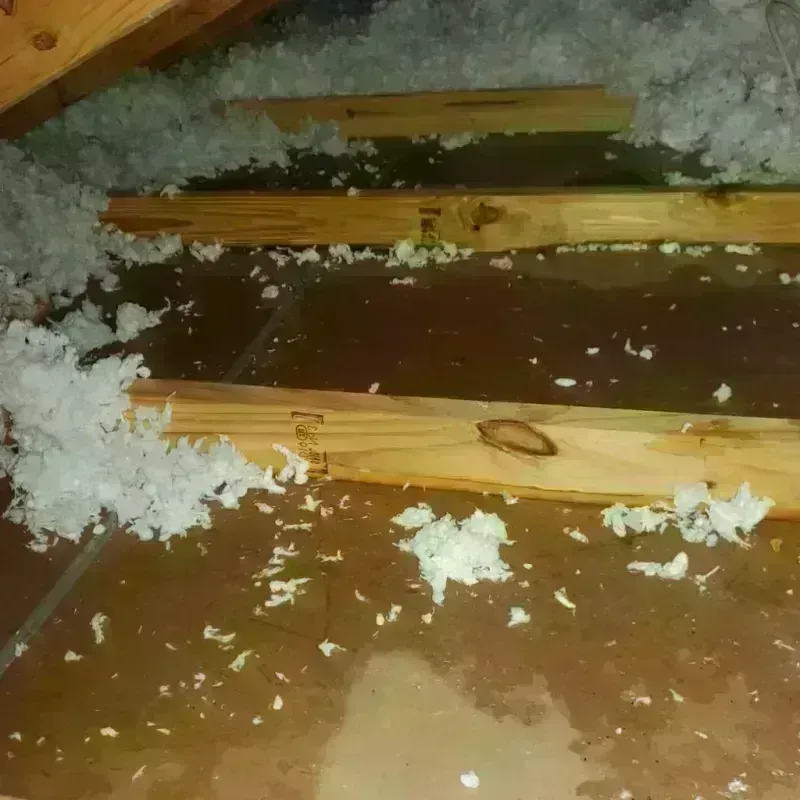 Attic Water Damage in Pinch, WV